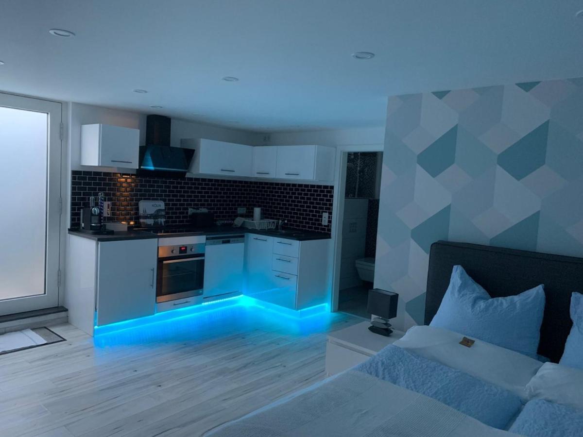 Modern Renovated Apartment Suited For Business Consultants - In Close Distance To Dt, Dhl And Un Campus - Reserved Parking Bonn Zewnętrze zdjęcie